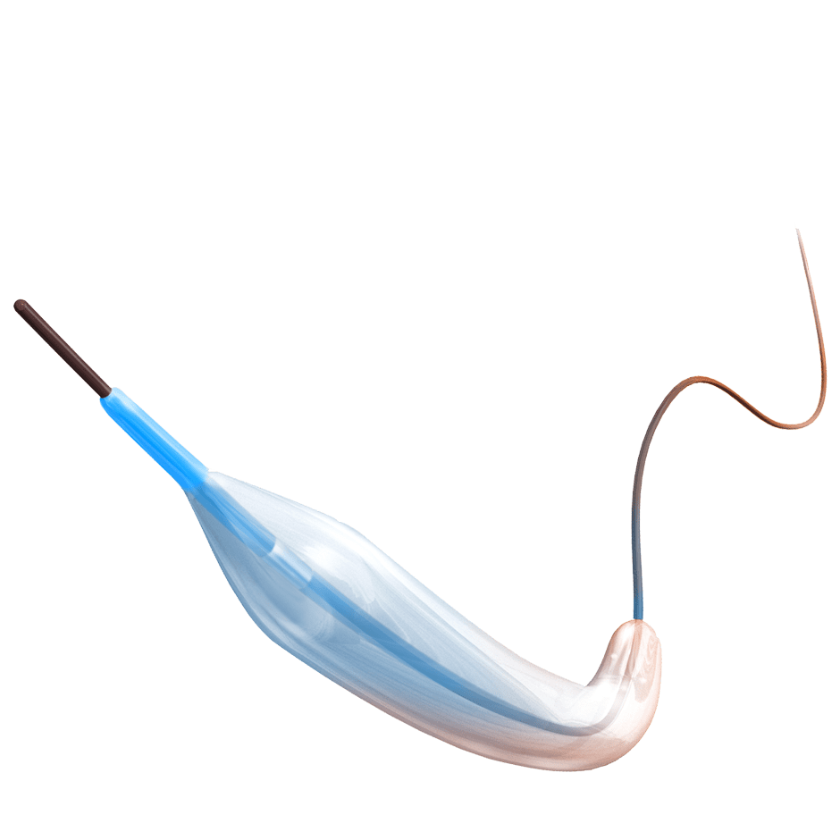 sl