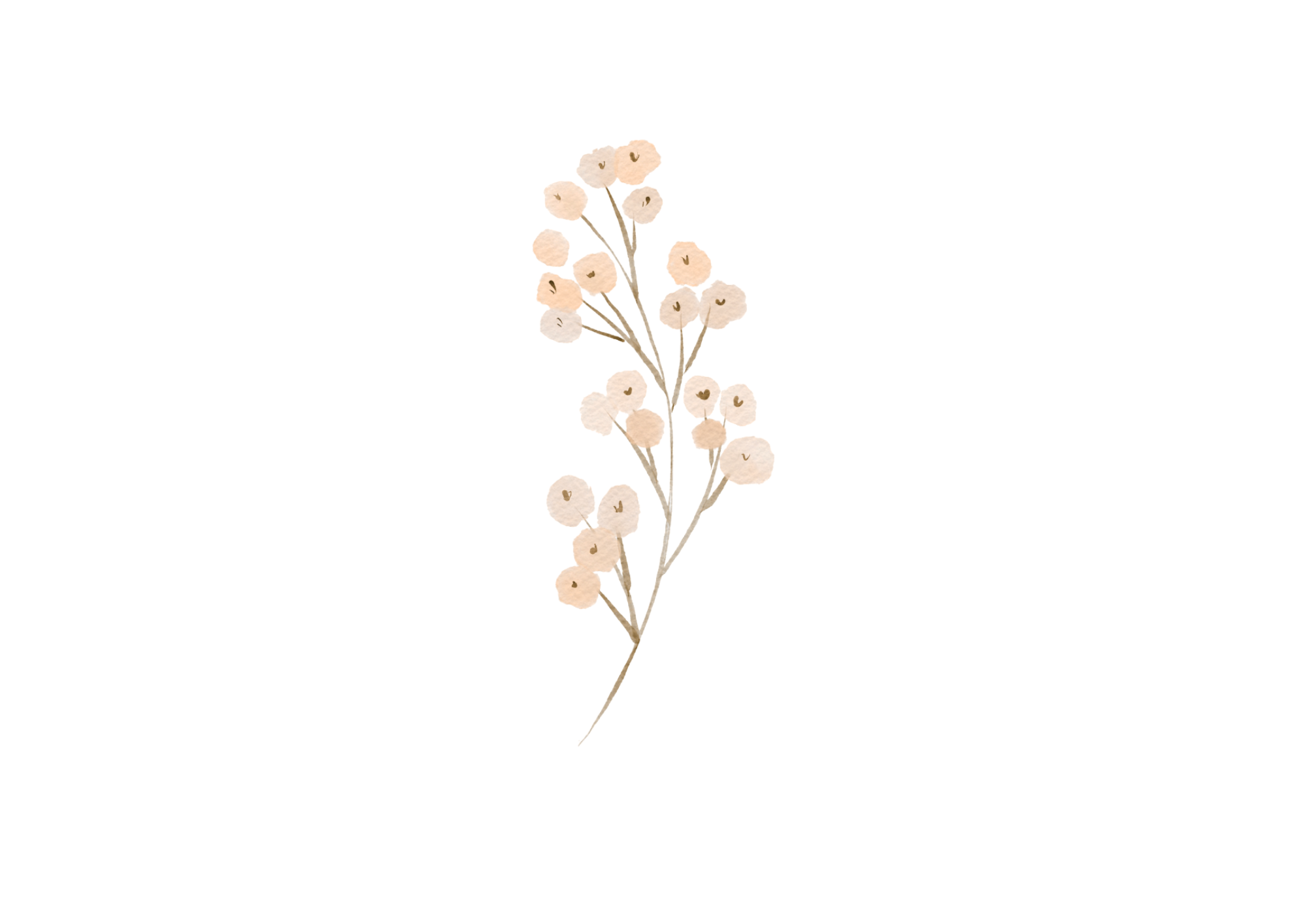 sl