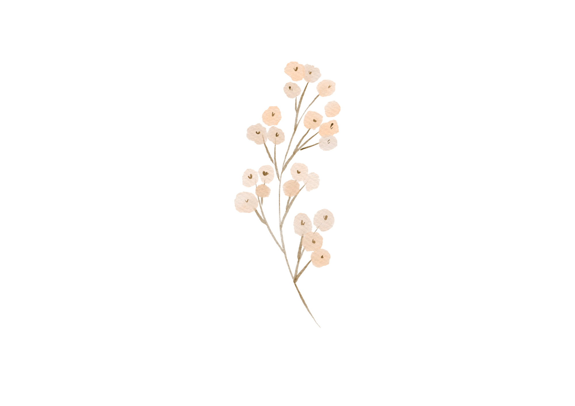 sl