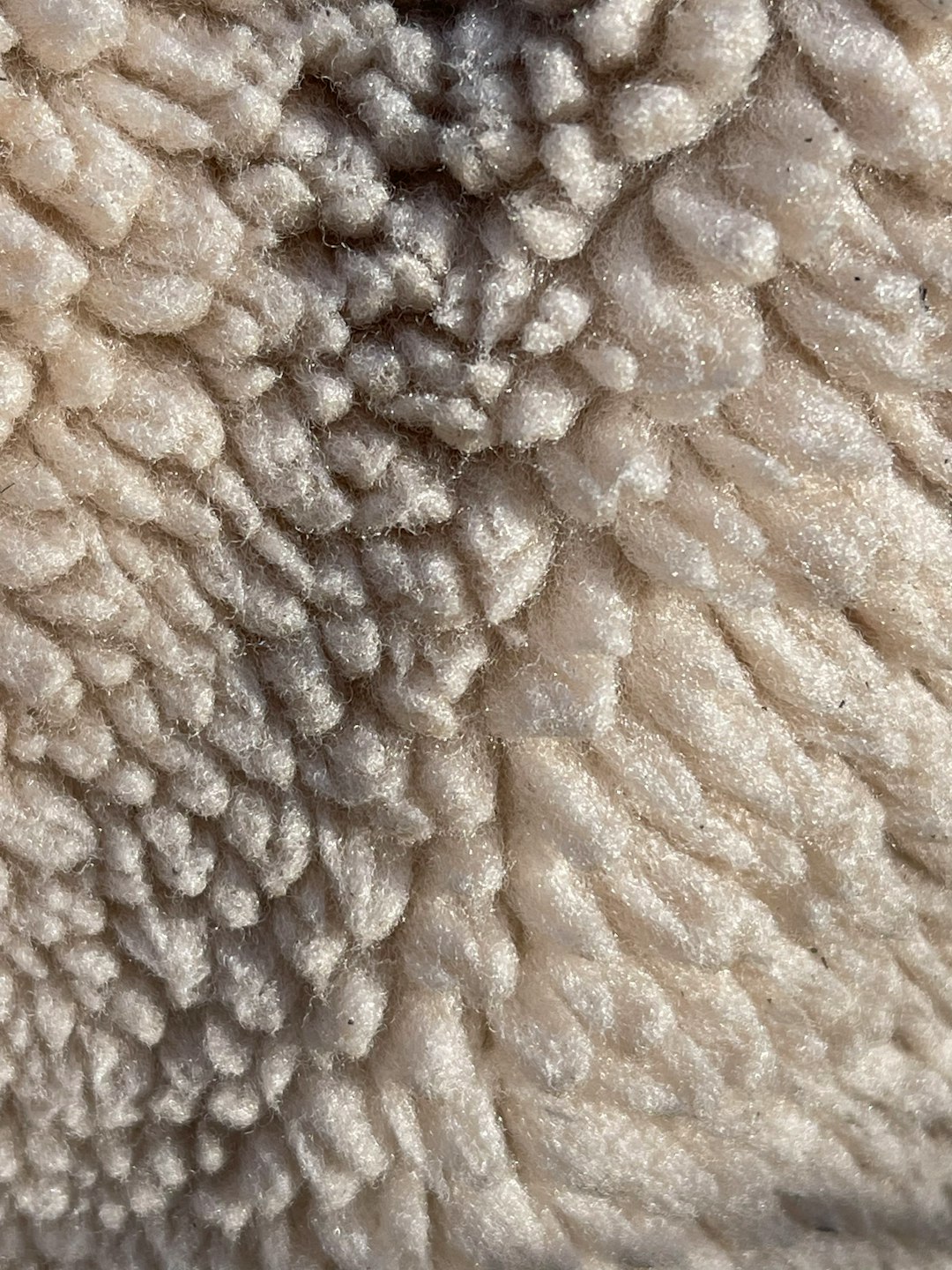 sl