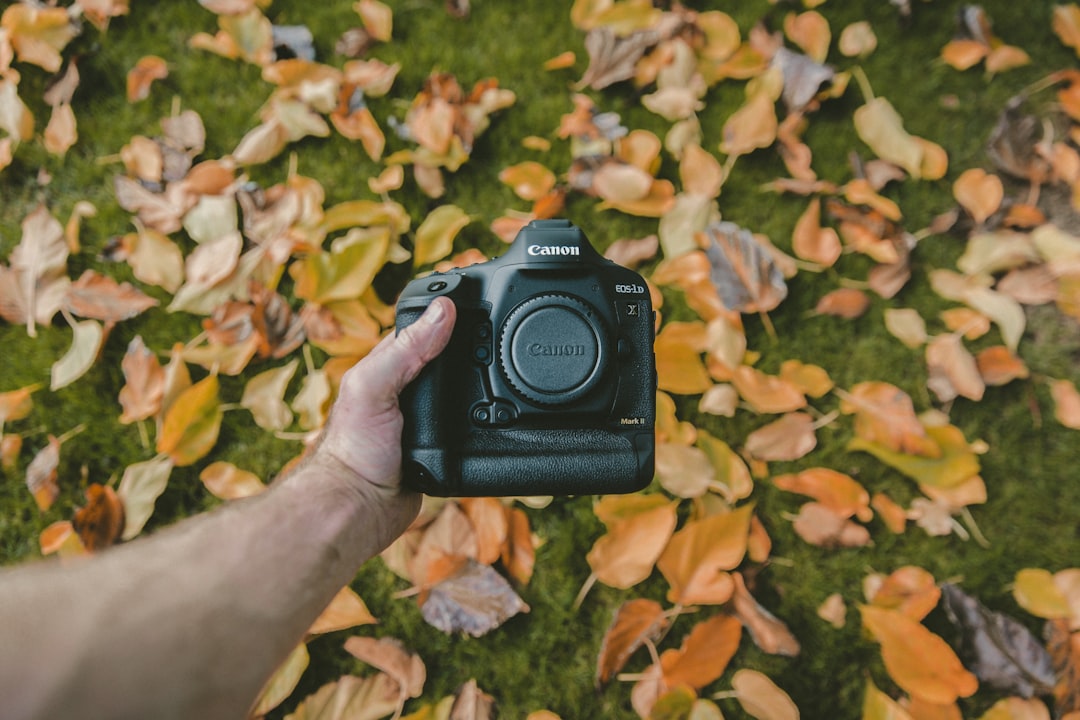 sl
