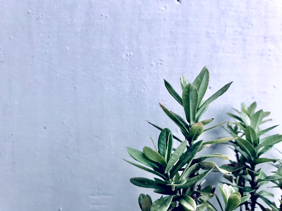 sl