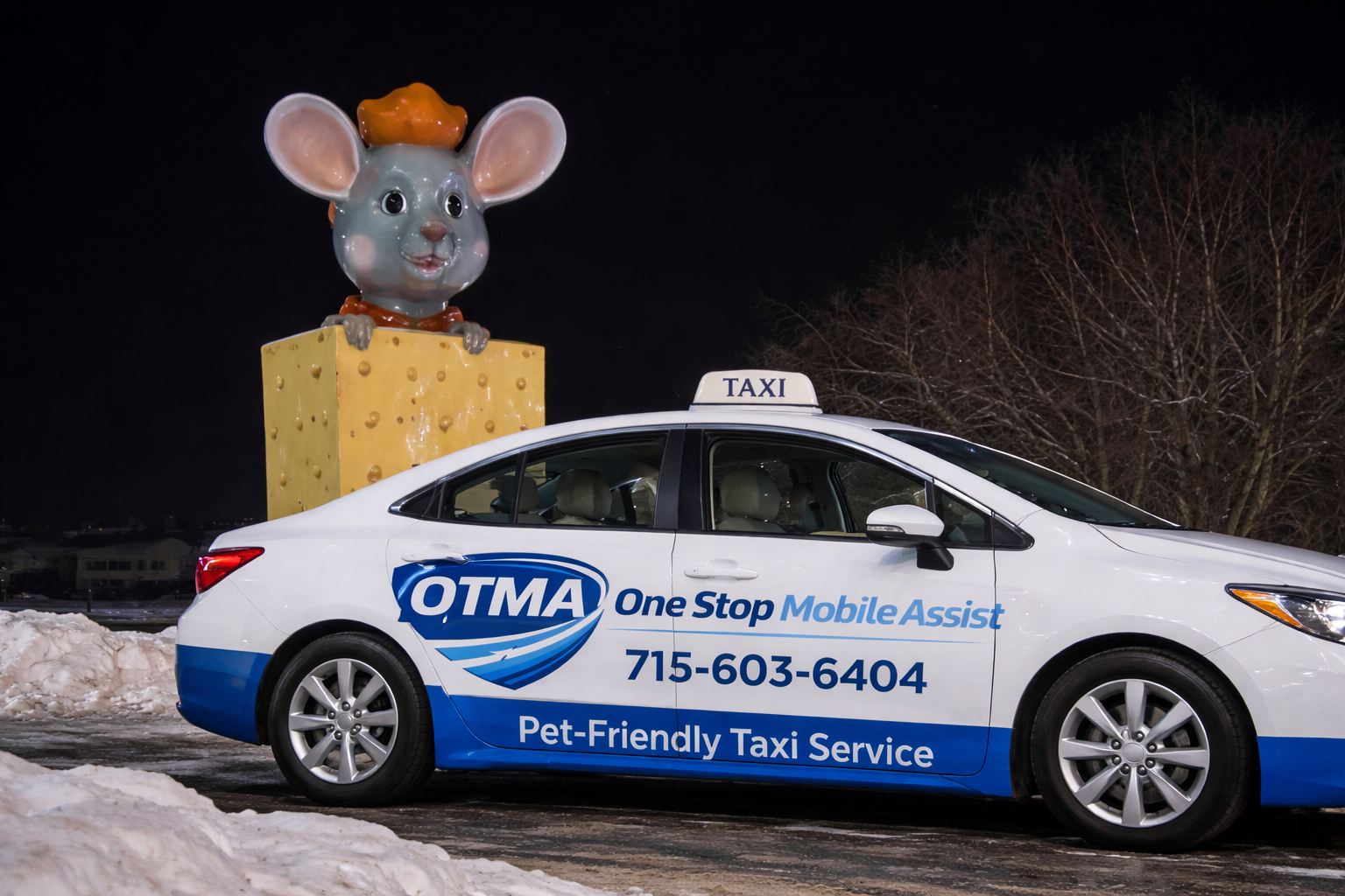 Black River Falls Taxi to MSP Airport